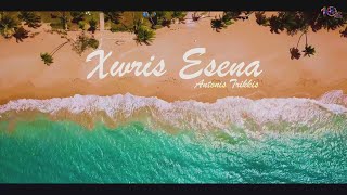 XWRIS ESENA - ANTONIS TRIKKIS (Official video) | Vicky Kamboz | New Greek Song 2021 (4k)