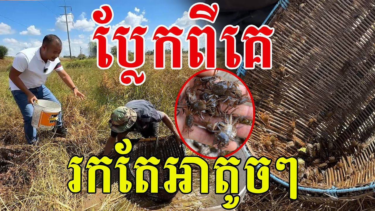 ប្លែកពីគេ រកតែអាតូចៗ បងប្អូនធ្លាប់ដាក់បែបនេះទេ