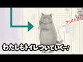 ねこがトイレについてくるほんとうのりゆう