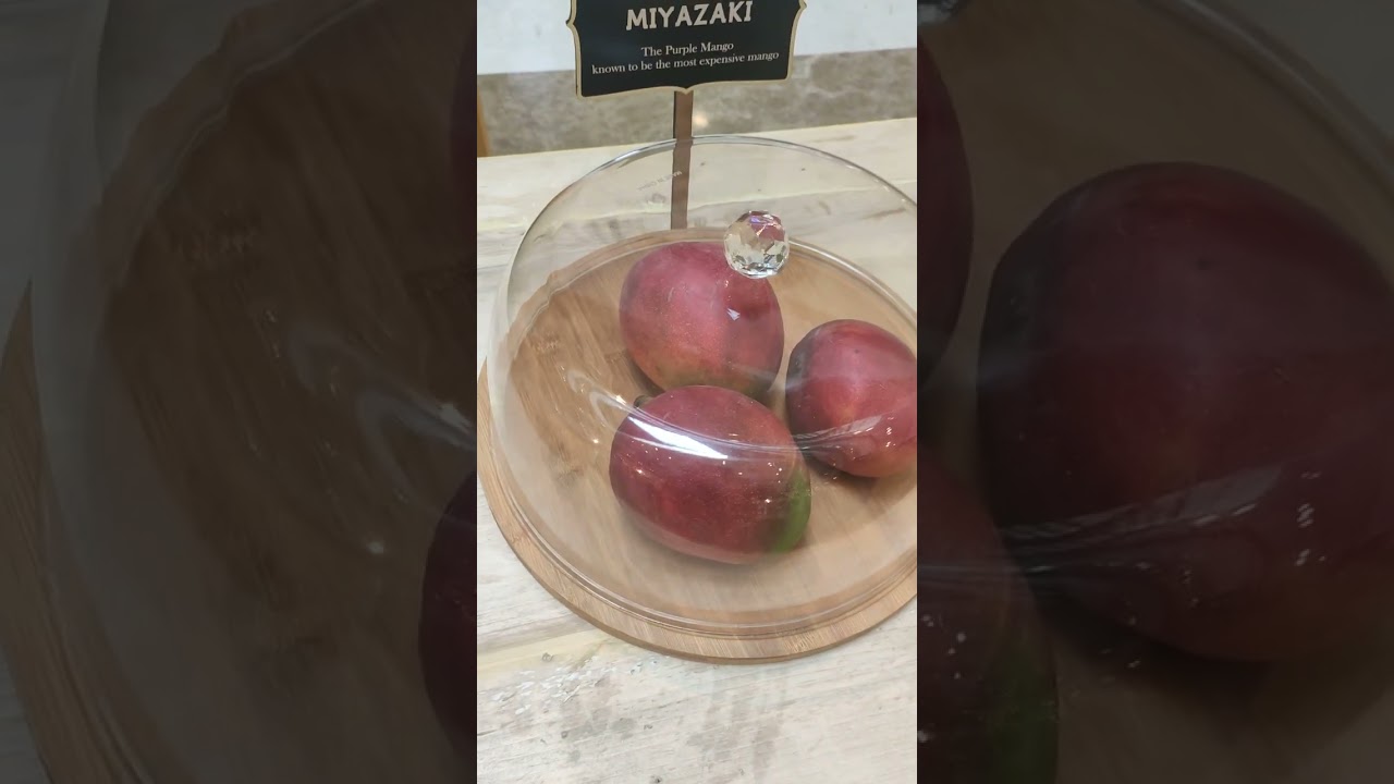 Mango Festival Mall of India, Noida