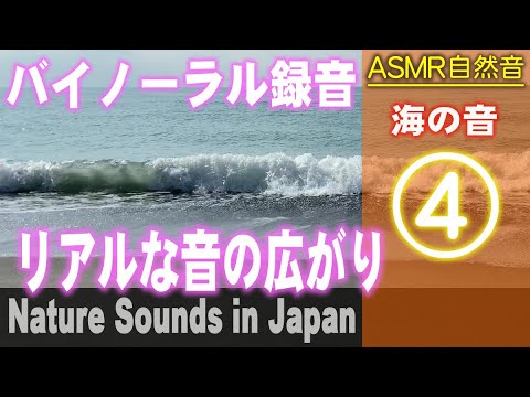 海の自然音 / バイノーラル録音 ASMR / Nature sounds for Relaxation, Meditation / 19min