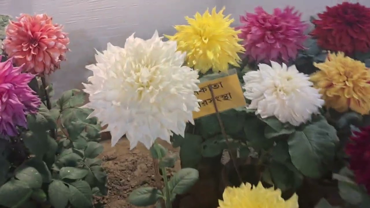 Khardaha Flower Show 2026