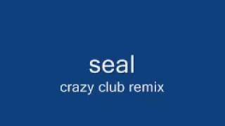 seal crazy remix