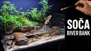 I Built a Riverbank Aquarium