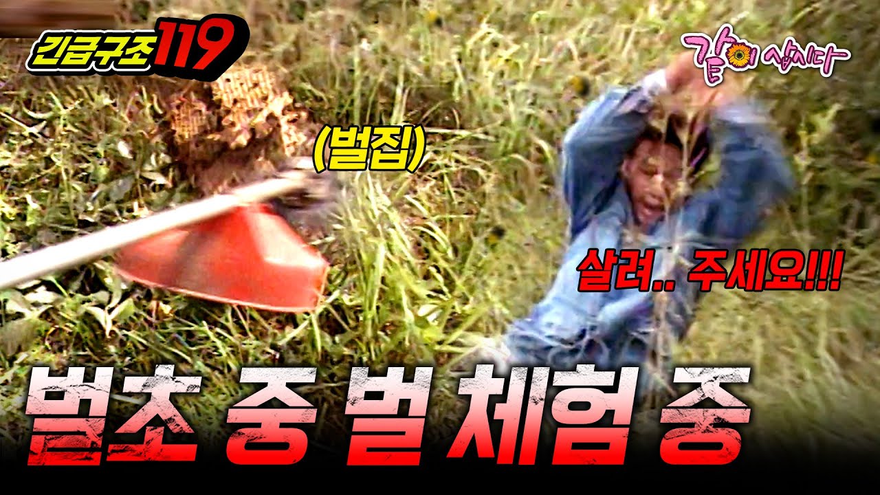 [긴급구조119] 벌초 중 풀이 아니라 벌집을🐝 잘라버렸다..😰ㅣ벌초 중 벌 체험 중ㅣKBS 1997.09.17