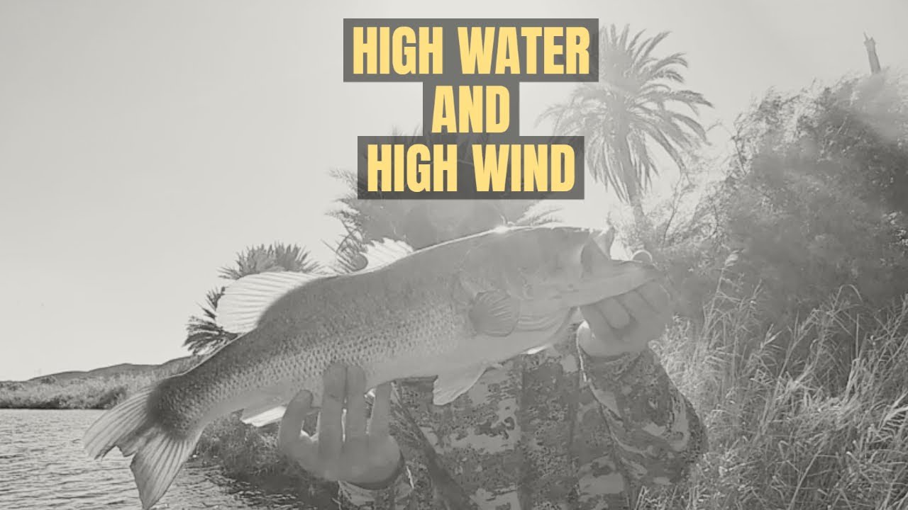 Arizona Bass Fishing in Extreme Conditions bassfishing howto 