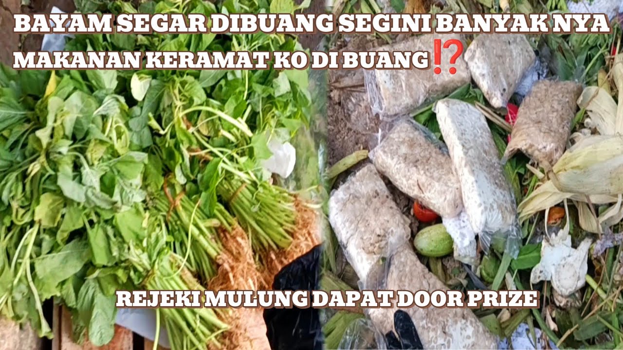 Bayam segar sebanyak ini ko dibuang‼️makanan keramat dibuang😱#mariles #mulung #vidio #berkah 
