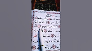 سورة الشمس الشيخ علاء عقل 💜🤍