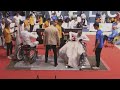 2023 Wheelchair Fencing World Championships | Terni, Italy | Day six - RED