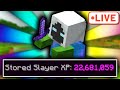 🔴 23/75M Rev XP!! (Level 521) 🔴 Hypixel SkyBlock LIVE