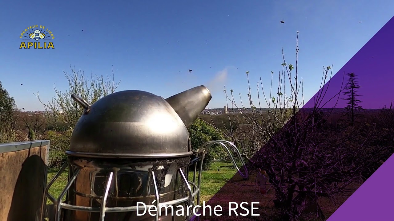 APILIA et les ateliers pédagogiques apicoles