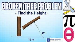 Find Height of Broken Tree | Trigonometry Application | Class 9 & 10 Maths