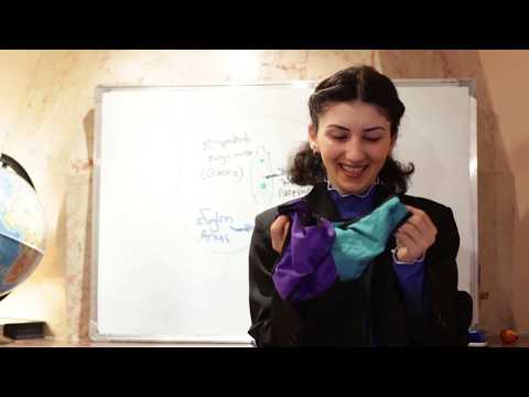 სქესობრივი მომწიფება/Puberty