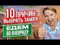 10 причин выбрать Тампу, Флорида // Русский Риэлтор во Флориде