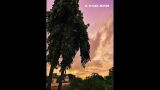 Sweetheart (slowed reverb)