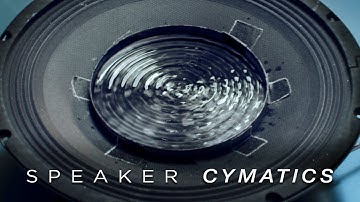 Cymatics: Speaker Dish