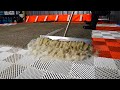 DIRTY shag rug gets a much needed bubble bath || Complete rug washing process