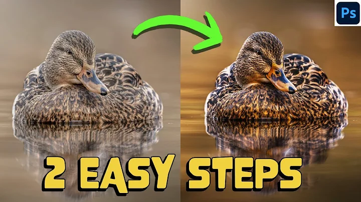 HOW to TRANSFORM your images in 2 EASY STEPS - Photoshop like a PRO