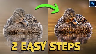 HOW to TRANSFORM your images in 2 EASY STEPS - Photoshop like a PRO screenshot 4