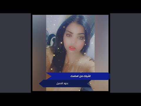 اشيلك من اساسك