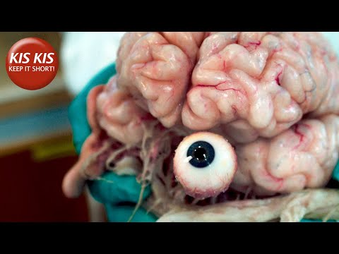 Experiment on a human brain | "A Living Soul" - Short film by Henry Moore Selder