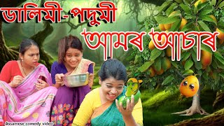 Dalimi- podumir Aamr Asar | Assamese comedy video | Assamese funny video