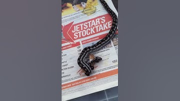 My Murray Darling (Shelby) Having a snack ;)