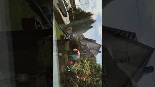 2025 m. gegužės 25 d.