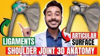 shoulder joint anatomy 3d | ligaments of shoulder joint | anatomy of shoulder joint ligaments