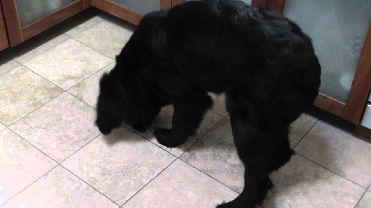 Pi Digging - YouTube