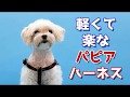 [パピア] ハーネス付け方 - Xスタイル