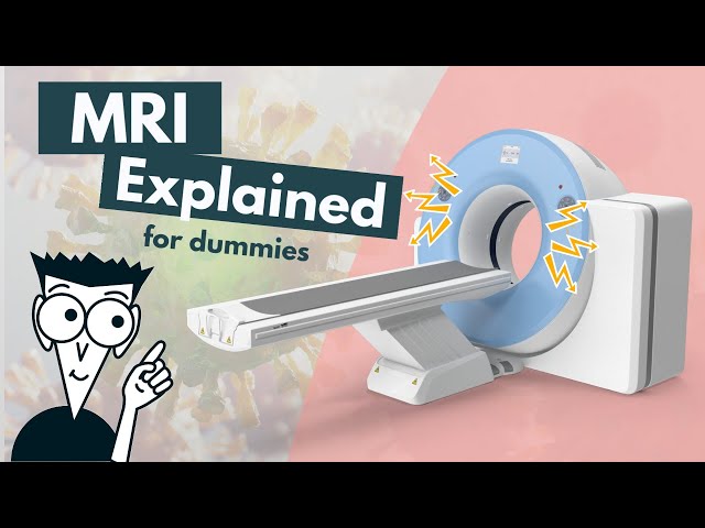 How does an MRI work? | MRI basics explained | Animation class=