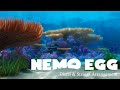 Finding Nemo - Nemo Egg  (Piano &amp; Strings Arrangement)