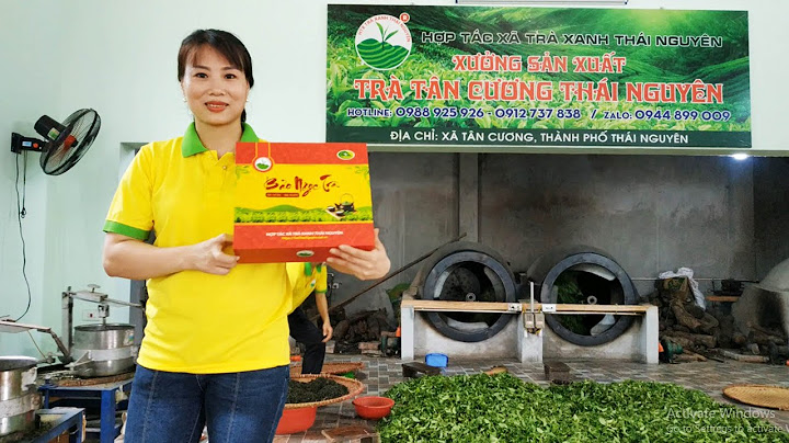 5 Lý do khiến giá trà Thái Nguyên đắt hơn các loại trà khác