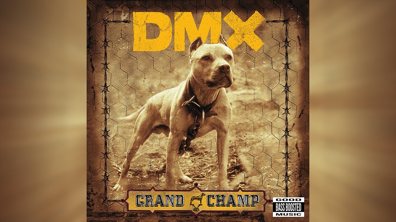Dmx rain. DMX Grand Champ. DMX the Rain. DMX Grand Champ CD Cover. DMX Dogs out.