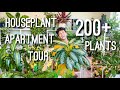 200+ Houseplant Apartment Tour! | Summer Plant Tour | A Tour of all my Indoor Plants (Rare & Common)