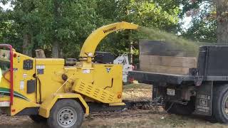 Homesteading | Removing massive trees and pouring patios by KapKen 100 views 1 month ago 15 minutes