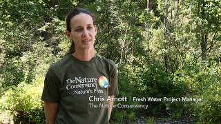 O'Conner Dam Removal & Restoration at Eales Preserve