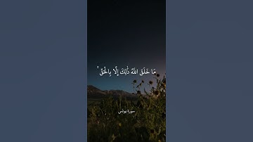 هُوَ الَّذِي جَعَلَ الشَّمْسَ ضِيَاءً وَالْقَمَرَ نُورًا || سورة يونس || علي جابر