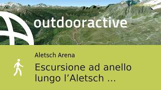 Video Flyover : Escursione ad anello lungo l’Aletsch Glacier da Fiescheralp, ... Video Flyover : Escursione ad anello lungo l’Aletsch Glacier da Fiescheralp, ...