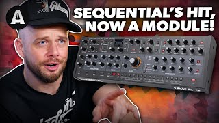 Sequential Take 5 Desktop! - Is a 5-Voice Poly Synth the Sweet Spot?