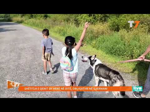 Video: Merrni Qenin Tuaj Në Ditën E Punës