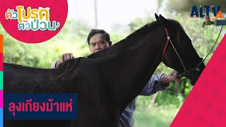 ลุงเกียงม้าแห่ | ตัวโปรด ตัวป่วน (2 ธ.ค. 65)