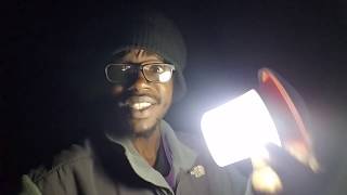 Thorfire Solar Light Review!