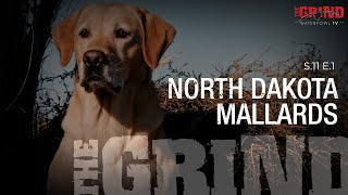North Dakota Mallards | The Grind S11: E1 screenshot 2
