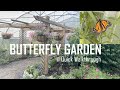 Butterfly Garden  Quick Walkthrough For-Mar Nature Preserve &amp; Arboretum - Genesee County Parks