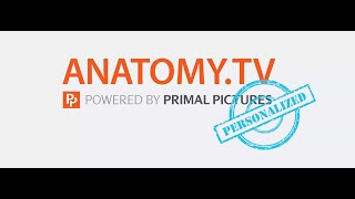 Navigating Anatomy.tv's Personal Profiles dashboard screenshot 5
