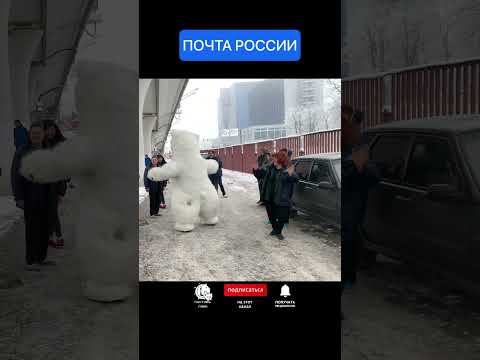 Белый медведь поздравили девушек на работе рано утром 😴 #women #gift #holiday