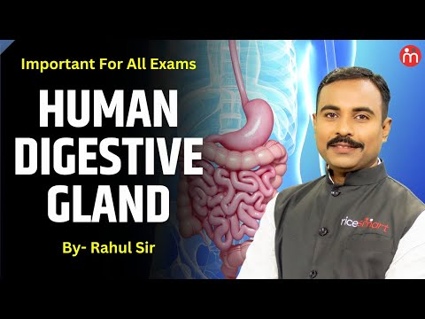 Biology | Human Digestive Glands Part 2 | Important For All Exams | By Rahul Sir | Ricesmart Hindi