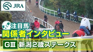 JRA公式チャンネル